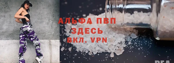 сатива Богданович