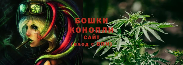 амф Бронницы