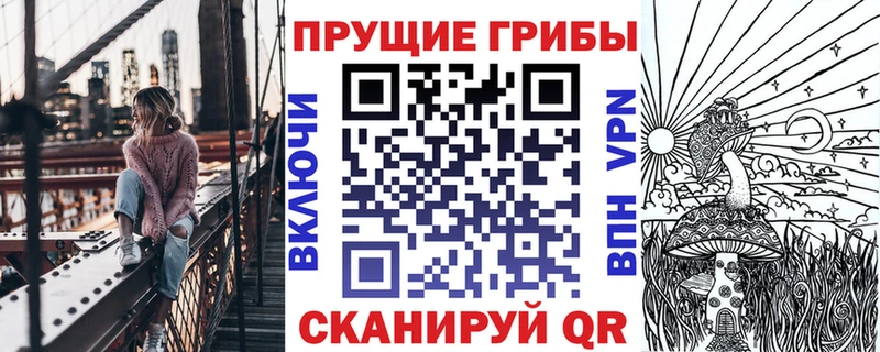 Псилоцибиновые грибы Psilocybine cubensis  Медногорск 
